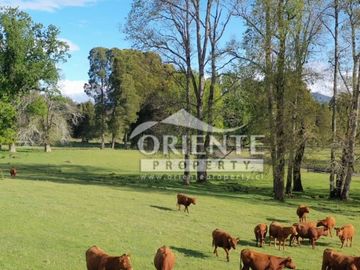 PARCELAS URBANIZADAS EN VILLARICA - PUCÓN