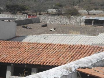 RANCHO AGRICOLA GANADERO EN VENTA EN HIDALGO
