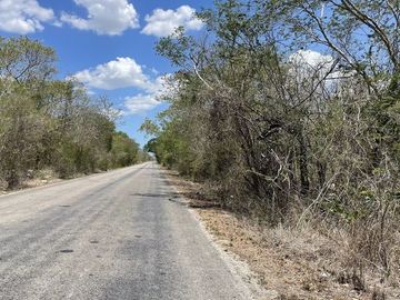 Terreno en Cosgaya con vialidad y luz cerca.