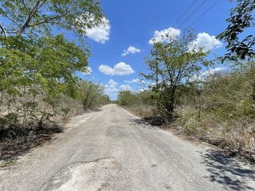 Terreno en Cosgaya con vialidad y luz cerca.