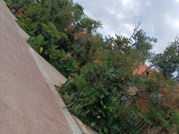 Venta Casa Nueva de 3 Recámaras con Roof y Jardín en Tulum – Lista para Escriturar
