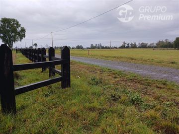 Parcela en Venta en SECTOR CHAMPEL RIO BUENO