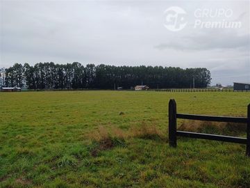 Parcela en Venta en SECTOR CHAMPEL RIO BUENO