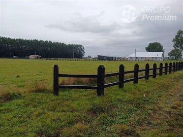 Parcela en Venta en SECTOR CHAMPEL RIO BUENO