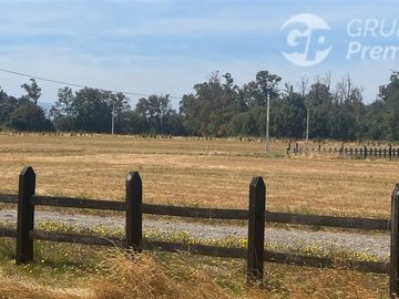 Parcela en Venta en SECTOR CHAMPEL RIO BUENO