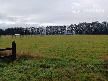 Parcela en Venta en SECTOR CHAMPEL RIO BUENO
