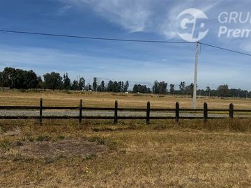 Parcela en Venta en SECTOR CHAMPEL RIO BUENO