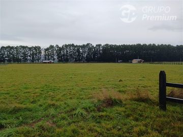 Parcela en Venta en SECTOR CHAMPEL RIO BUENO