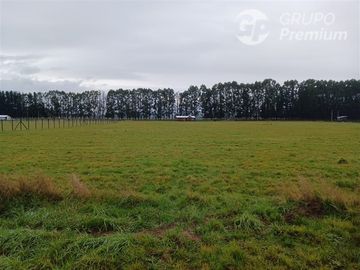 Parcela en Venta en SECTOR CHAMPEL RIO BUENO
