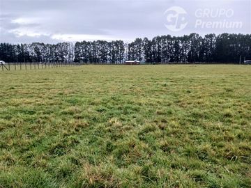 Parcela en Venta en SECTOR CHAMPEL RIO BUENO