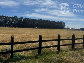 Parcela en Venta en SECTOR CHAMPEL RIO BUENO
