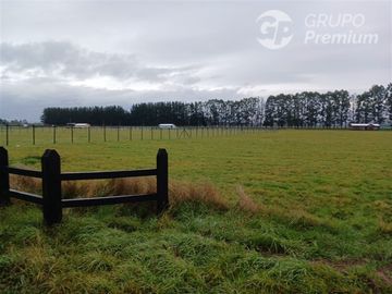 Parcela en Venta en SECTOR CHAMPEL RIO BUENO