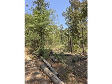 Terreno de 2000 m2 en  Quinta Andrea, Huasca de Ocampo Hidalgo.