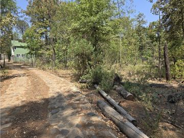 Terreno de 2000 m2 en  Quinta Andrea, Huasca de Ocampo Hidalgo.