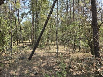 Terreno de 2000 m2 en  Quinta Andrea, Huasca de Ocampo Hidalgo.