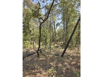 Terreno de 2000 m2 en  Quinta Andrea, Huasca de Ocampo Hidalgo.