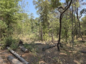Terreno de 2000 m2 en  Quinta Andrea, Huasca de Ocampo Hidalgo.