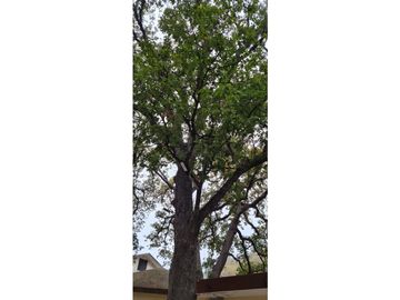 Quinta en venta en Campestre el Barro en Santiago