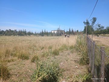 TERRENO EN VENTA, FLORENTINA, SAN MIGUEL DEL MONTE