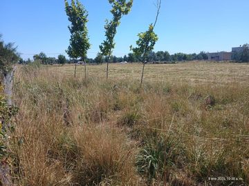 TERRENO EN VENTA, FLORENTINA, SAN MIGUEL DEL MONTE