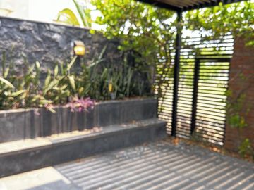 CASA CON ALBERCA Y PANELES VENTA/RENTA EN LOMAS DEL SOL