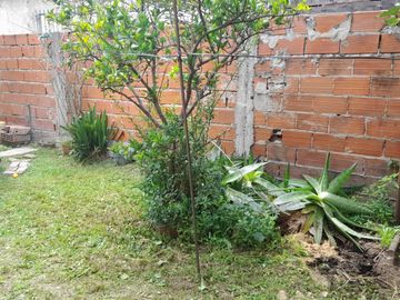 VENTA 3 CASAS EN AMPLIO LOTE