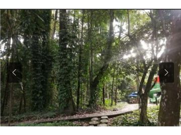 APARTAMENTO CON VISTA A ZONA VERDE