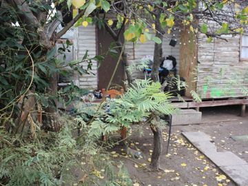 CASA EN VENTA CON 430 METROS DE TERRENO