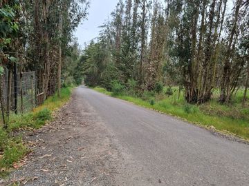Parcela Agrado 5.000 M2 Con 2 Casas, Tranque San Juan, San Antonio