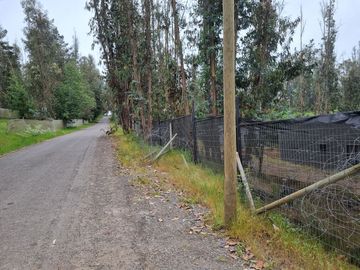 Parcela Agrado 5.000 M2 Con 2 Casas, Tranque San Juan, San Antonio