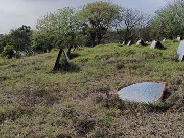 Venta de Rancho Sabanillas-Tamiahua. Veracruz.