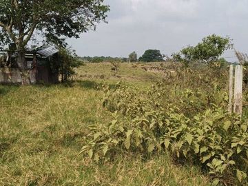 Venta de Rancho Sabanillas-Tamiahua. Veracruz.
