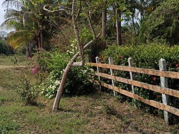 Venta de Rancho Sabanillas-Tamiahua. Veracruz.