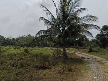 Venta de Rancho Sabanillas-Tamiahua. Veracruz.