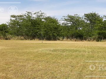 Quincho en venta Abasto en lote de  6000 m2 - Escritura directa!!!