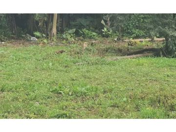 VENTA DE FINCA EN BUGABA 1,407 METROS