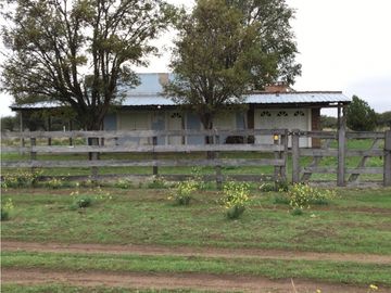 VENDO CAMPO DE 2010 HECTAREAS SOBRE RUTA 152 PROXIMO A GENERAL ACHA