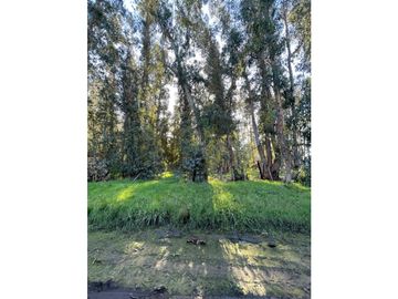 terreno Necochea Zona Villa Zabala