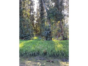 terreno Necochea Zona Villa Zabala