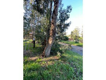 terreno Necochea Zona Villa Zabala