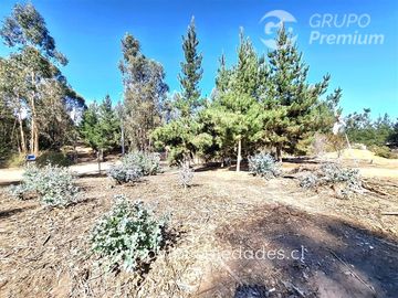 Casa en Venta en Parcelacion La Petrilla
