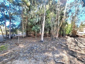 Casa en Venta en Parcelacion La Petrilla