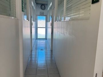 Renta oficinas en Av. Universidad - Chimalistac, con terraza