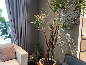 Departamento en venta, Nova Lifestyle, Bosque de las Lomas