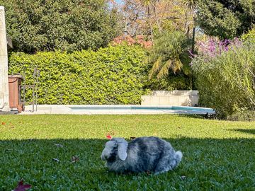 Casa en Venta, Elegante, Funcional y en Perfecto Estado en las Lomas de San Isidro
