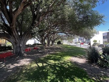 Hermosa Residencia en Venta Bosque Cedros