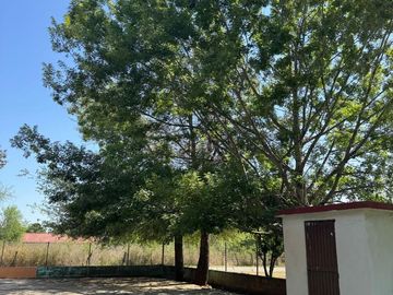 QUINTA EN VENTA EN LOS LIRIOS MONTEMORELOS