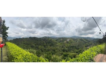 ALQUILO BELLA CASA CAMPESTRE VIA PEREIRA-ARMENIA