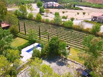 CASA CON VIÑEDO EN VENTA / SAN MIGUEL DE ALLENDE / RANCHO LA LOMA