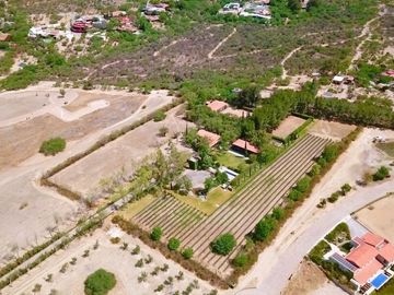 CASA CON VIÑEDO EN VENTA / SAN MIGUEL DE ALLENDE / RANCHO LA LOMA